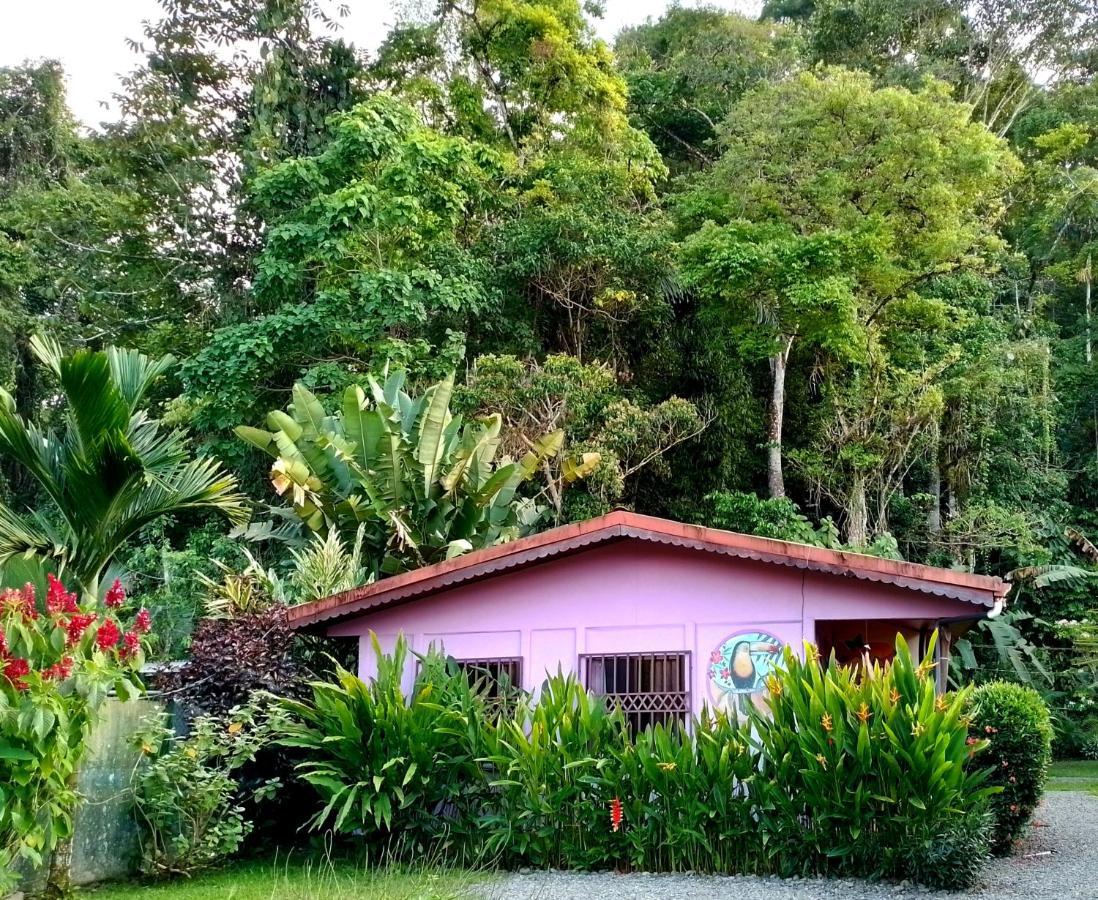 Appartamento Casa Alegra Puerto Viejo de Talamanca Esterno foto