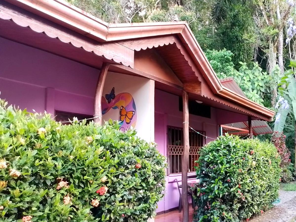 Appartamento Casa Alegra Puerto Viejo de Talamanca Esterno foto