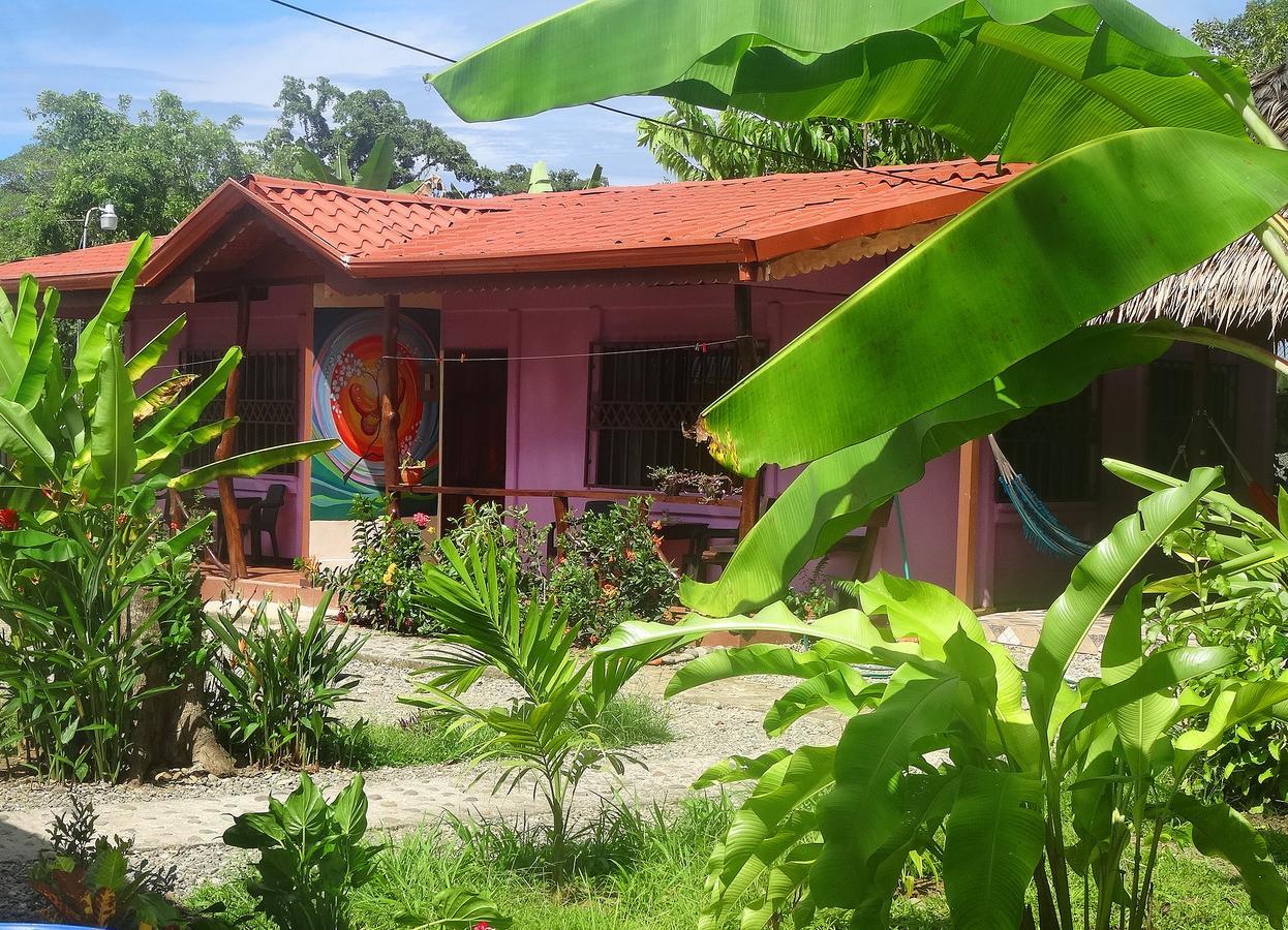 Appartamento Casa Alegra Puerto Viejo de Talamanca Esterno foto