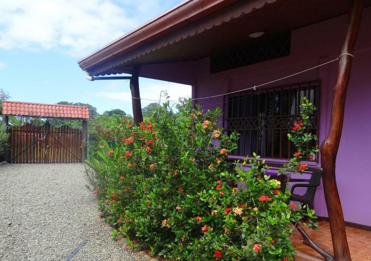Appartamento Casa Alegra Puerto Viejo de Talamanca Esterno foto